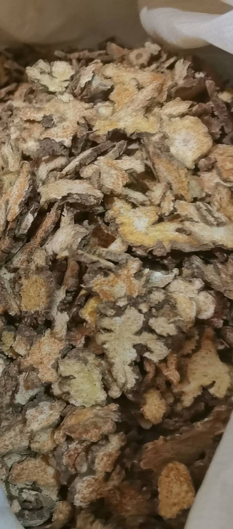 山东菏泽一手货源苍术质量好价格优对接全国市场欢迎购买