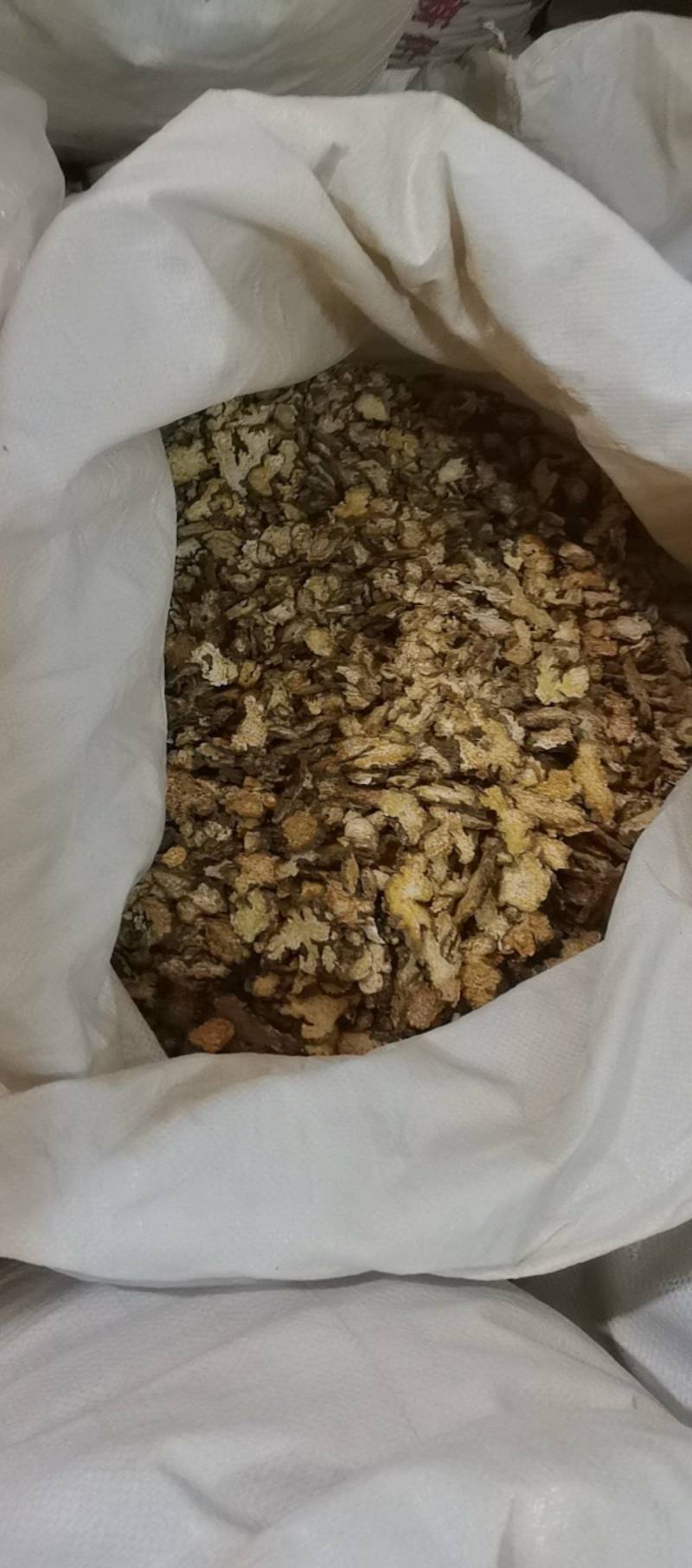 山东菏泽一手货源苍术质量好价格优对接全国市场欢迎购买