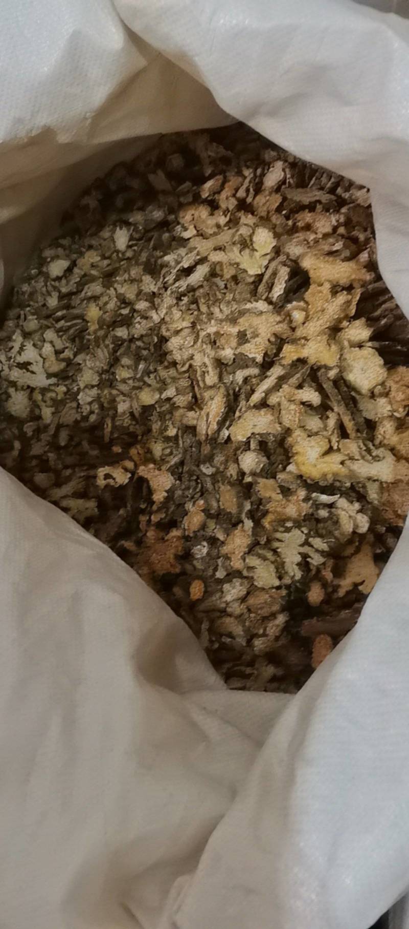 山东菏泽一手货源苍术质量好价格优对接全国市场欢迎购买