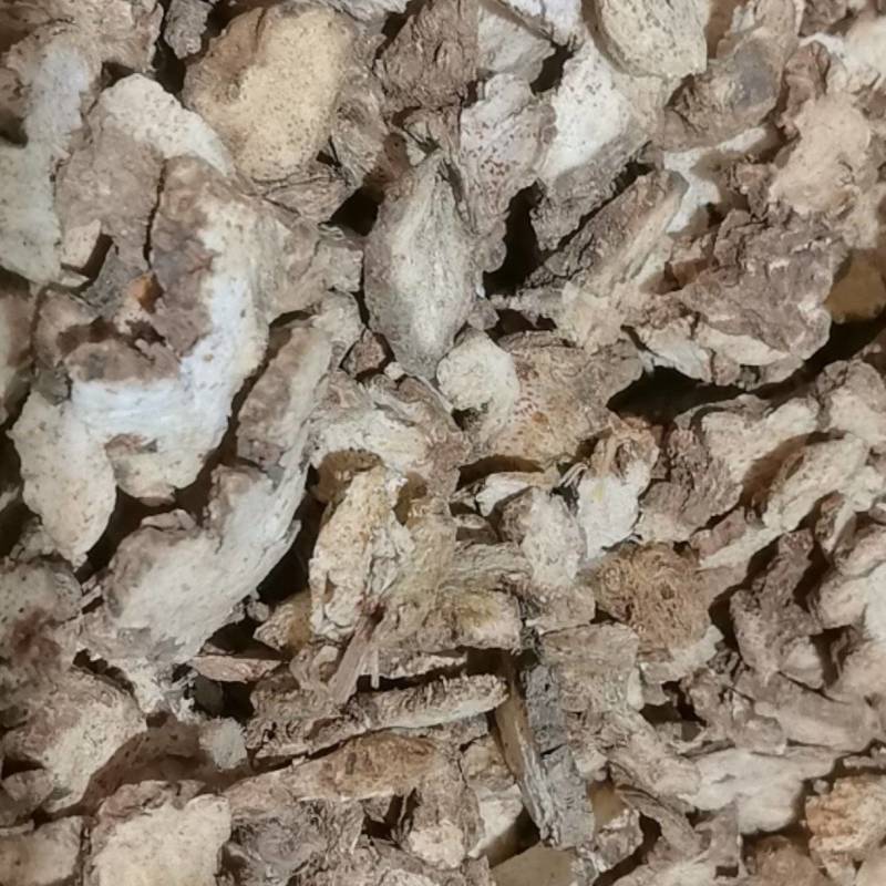 山东菏泽一手货源苍术品质好价格优对接全国市场欢迎采购