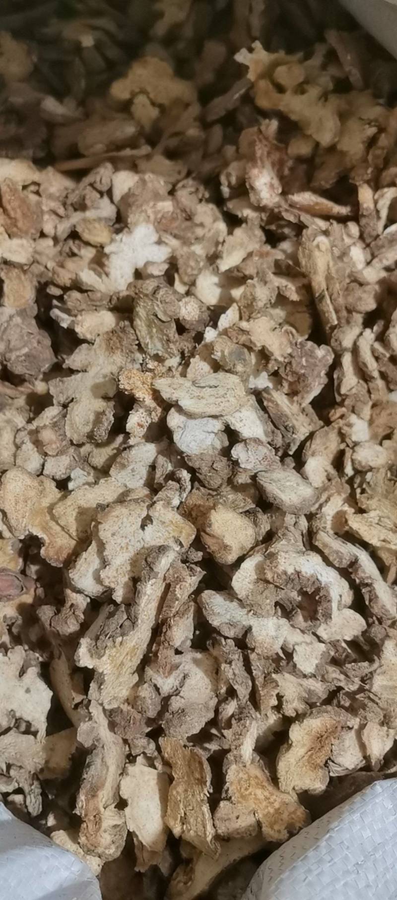 山东菏泽一手货源苍术品质好价格优对接全国市场欢迎采购