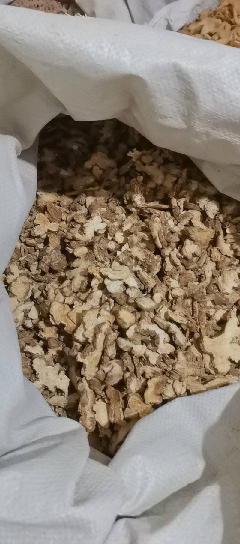 山东菏泽一手货源苍术品质好价格优对接全国市场欢迎采购
