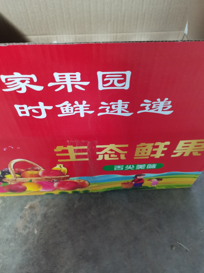 【好评超多】山西大棚黄心油桃中油4产地现摘对接全国