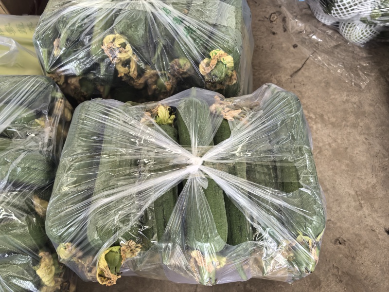 丝瓜，短棒肉丝瓜，基地直供，对接批发商，市场，电商，