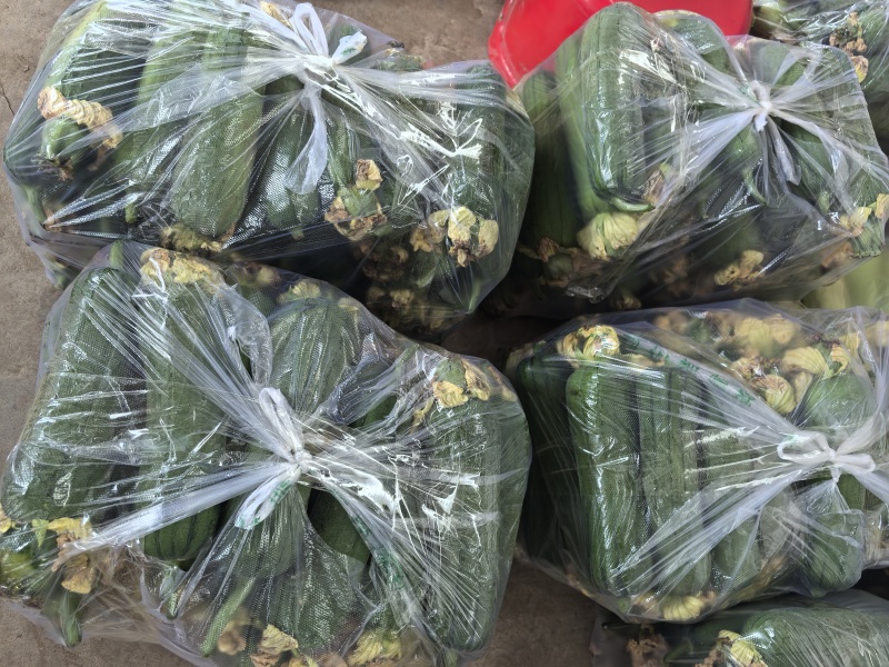 丝瓜，短棒肉丝瓜，基地直供，对接批发商，市场，电商，