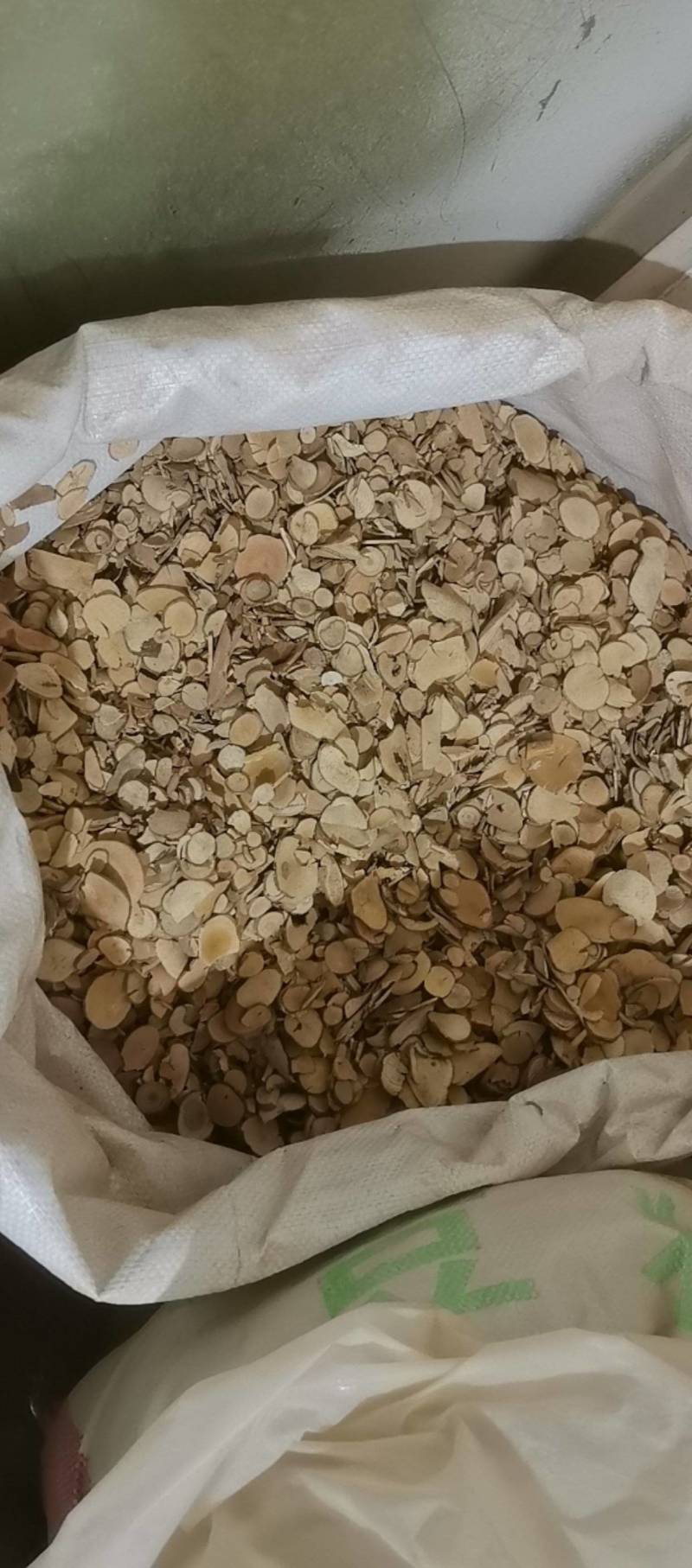 山东菏泽一手货源乌药品质好价格优对接全国市场欢迎采购