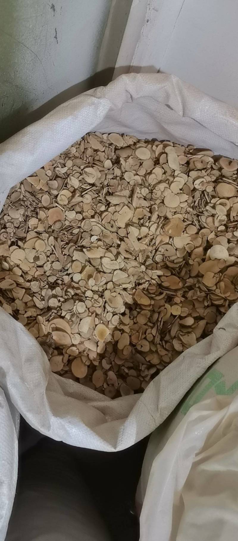 山东菏泽一手货源乌药品质好价格优对接全国市场欢迎采购