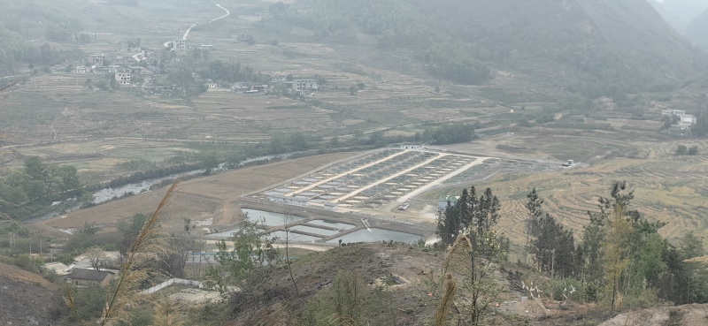 养殖鲟鱼基地3-55-10的规格都有有需要的老板联