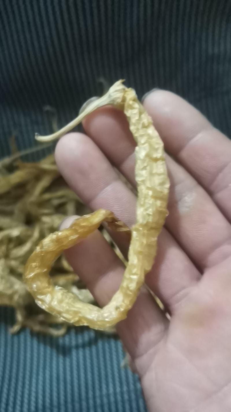 白辣椒无盐水煮