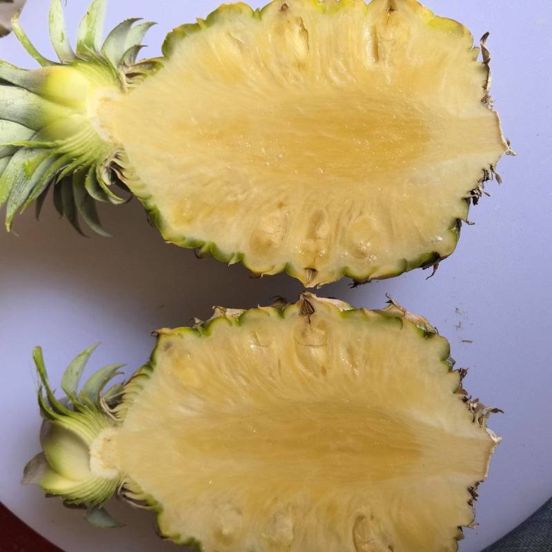 凤梨（甜蜜蜜）
