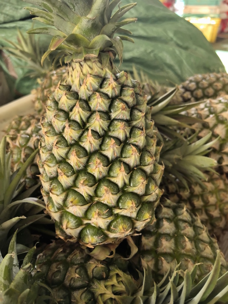 凤梨（甜蜜蜜）