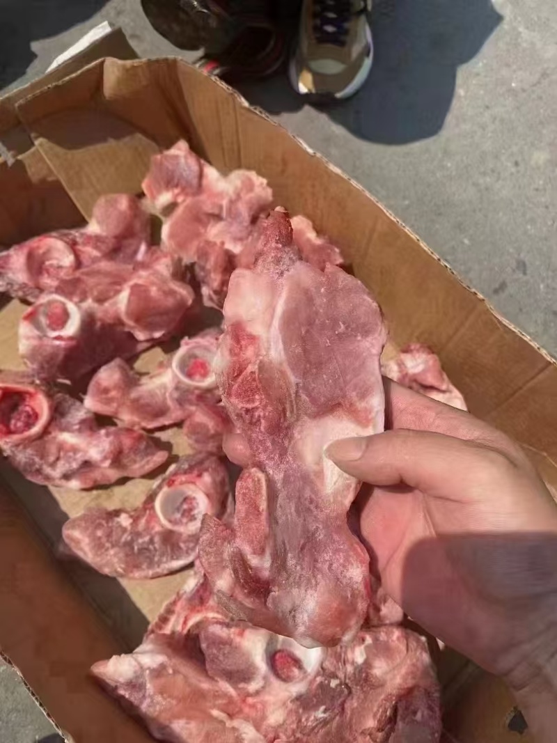 髋骨