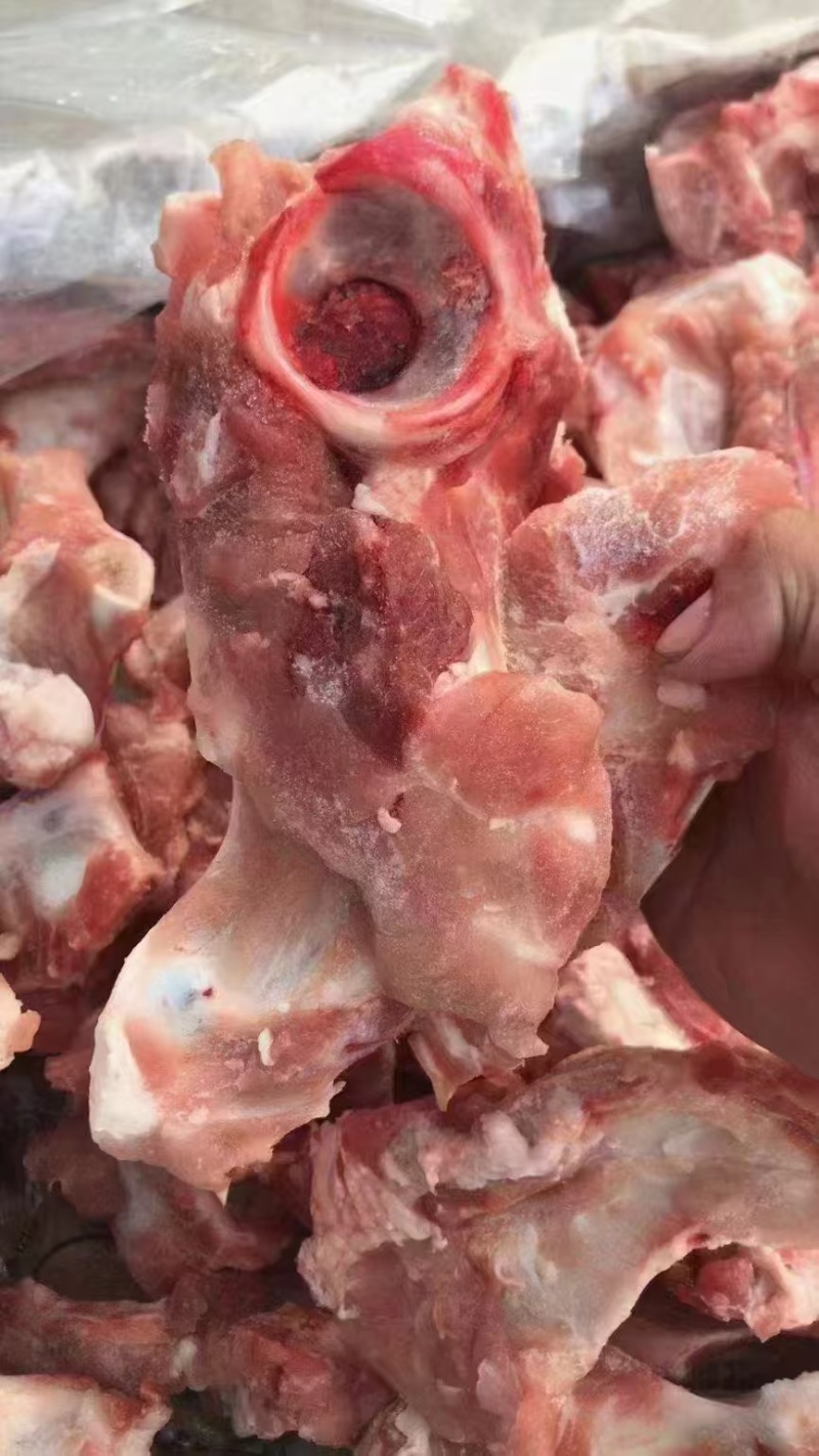 髋骨