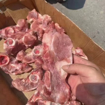 髋骨
