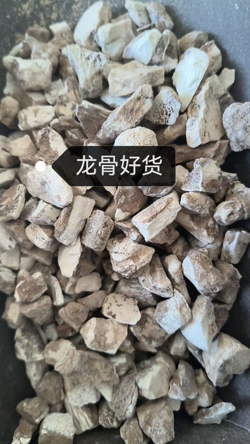 龙骨水洗龙骨批发零售各种规格中药材龙骨欢迎选购