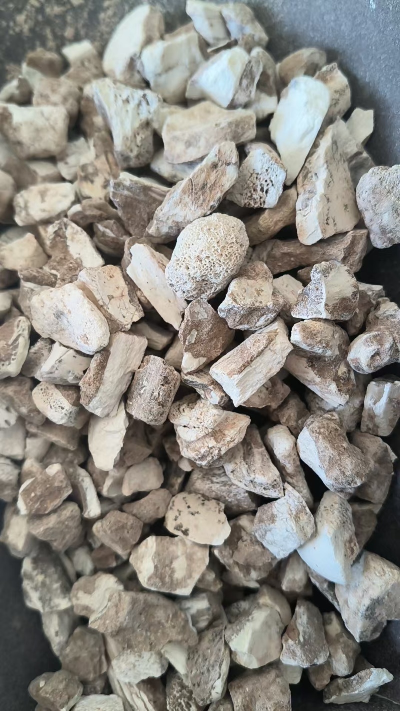 龙骨水洗龙骨批发零售各种规格中药材龙骨欢迎选购