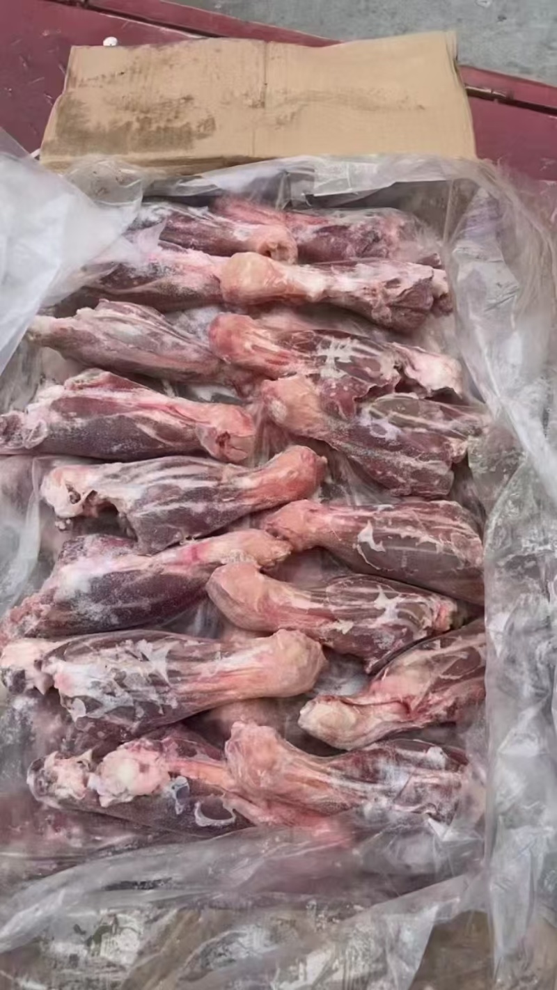 羊金刚