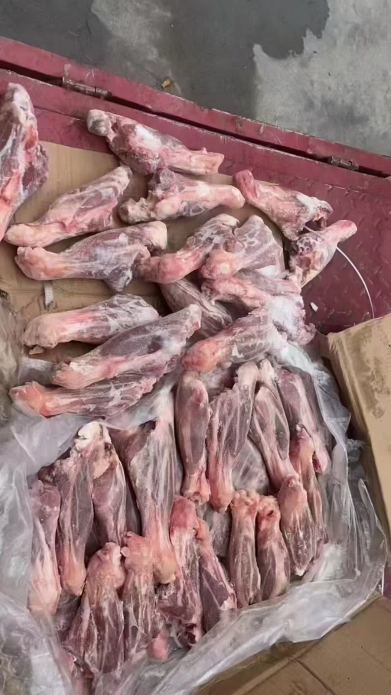 羊金刚