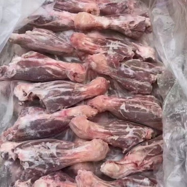 羊金刚