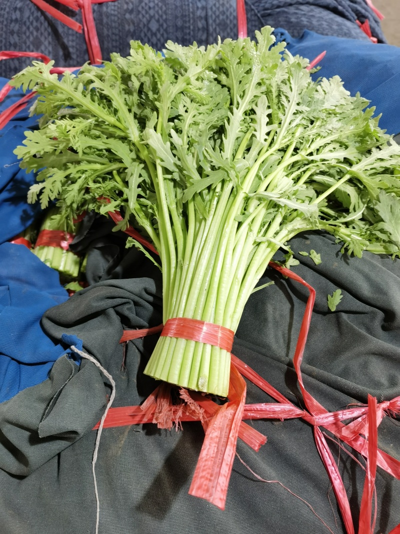 寿光精品茼蒿，大量现货，常年有货抽湿机打冷，自有代找车。