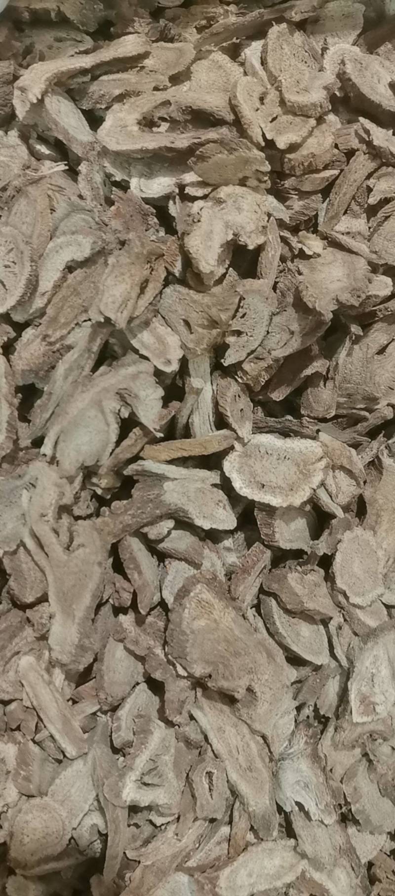 山东菏泽一手货源木香品质好价格优对接全国市场欢迎采购