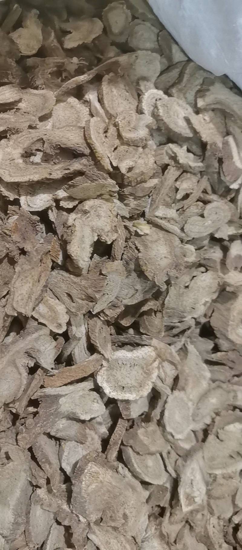山东菏泽一手货源木香品质好价格优对接全国市场欢迎采购