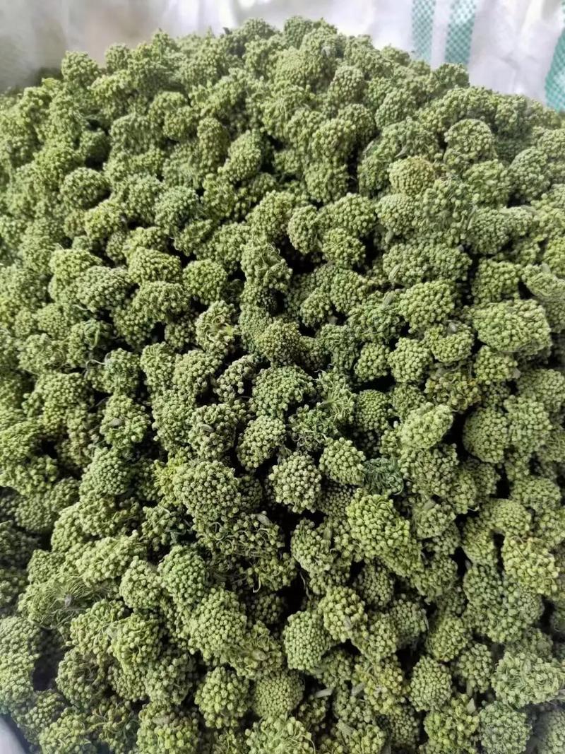三七花，云南文山产地三七花一手货源一件代发