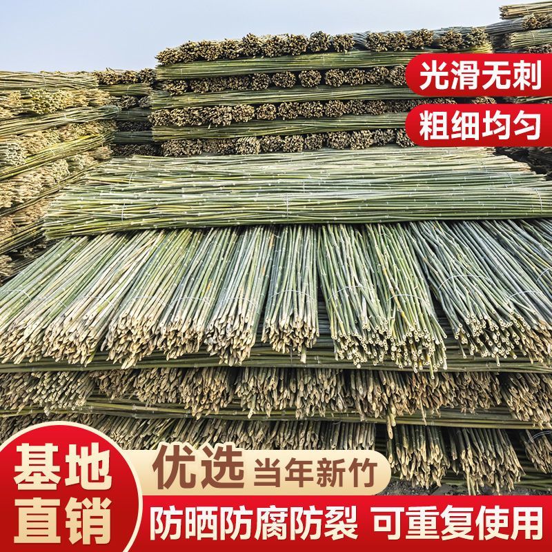 江西竹竿江西竹子供应批发菜架竹小山竹竹竿竹片等