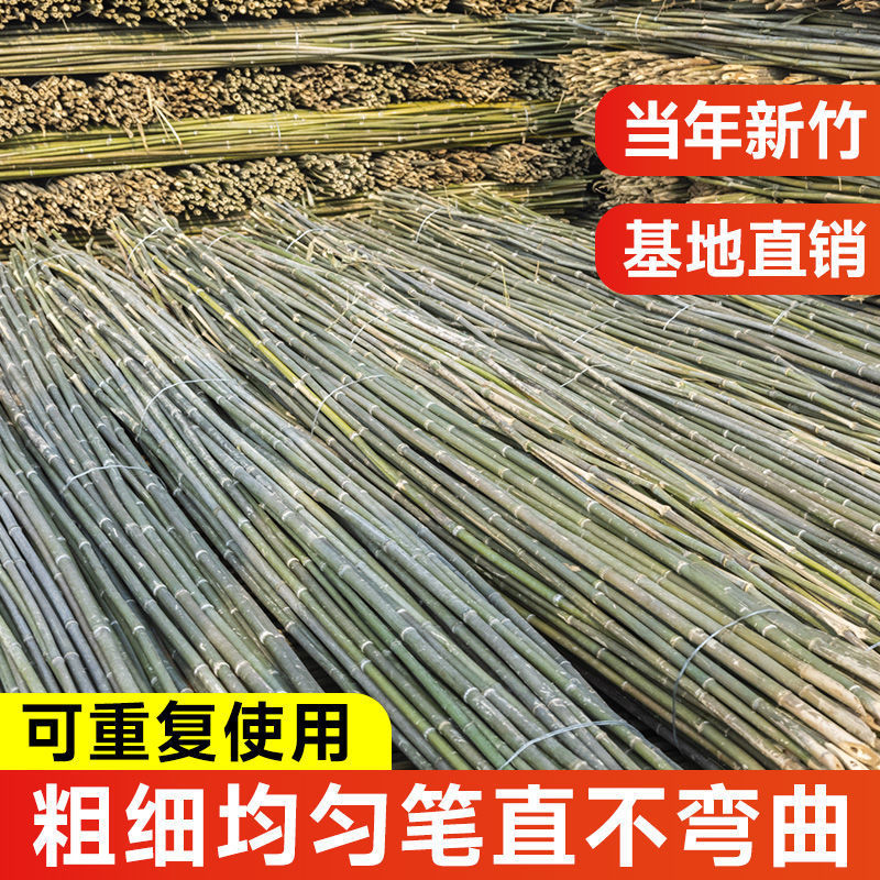 江西竹竿江西竹子供应批发菜架竹小山竹竹竿竹片等