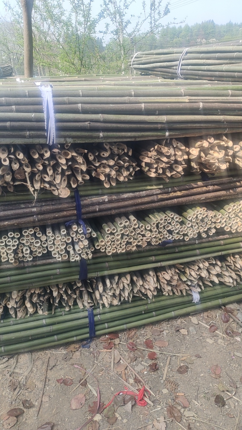 江西竹竿江西竹子供应批发菜架竹小山竹竹竿竹片等