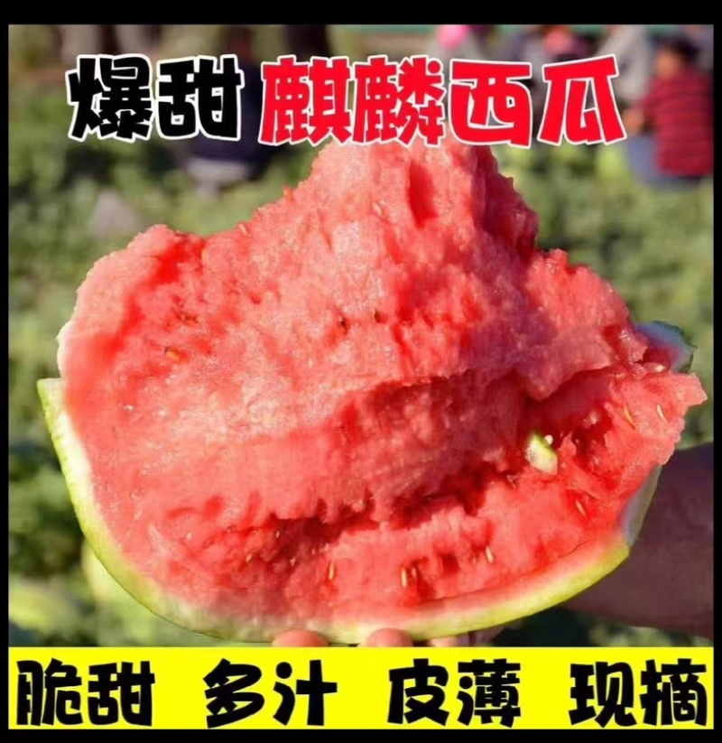 可以电商代发《安徽麒麟美都西瓜》头茬现摘现发