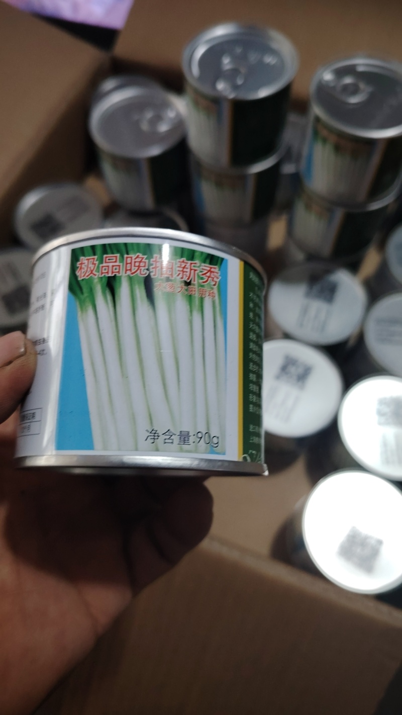 四季小葱种子全国包邮支持快递发货免费提供种植技术