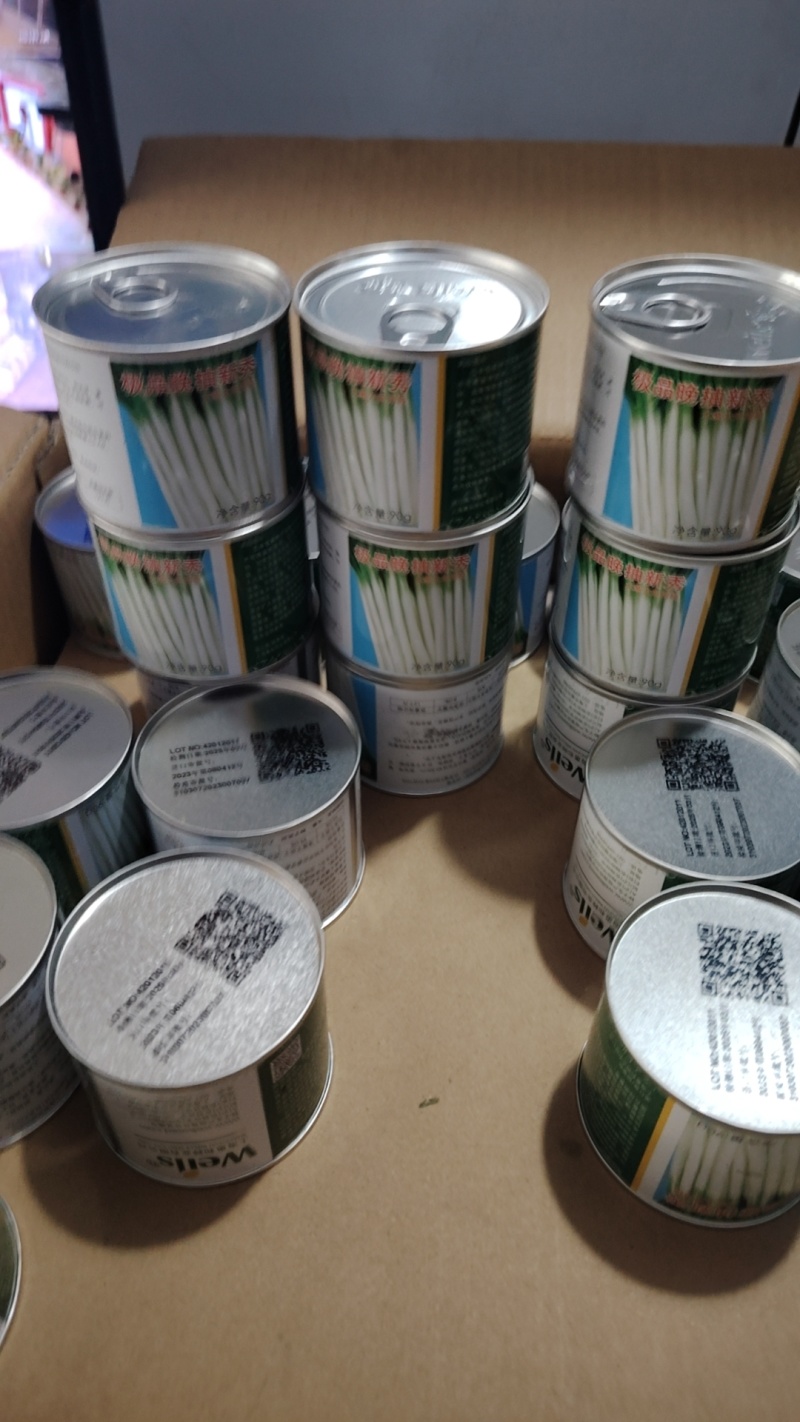 四季小葱种子全国包邮支持快递发货免费提供种植技术