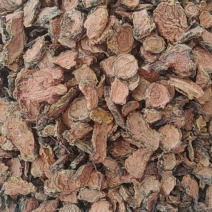 红景天批发价格