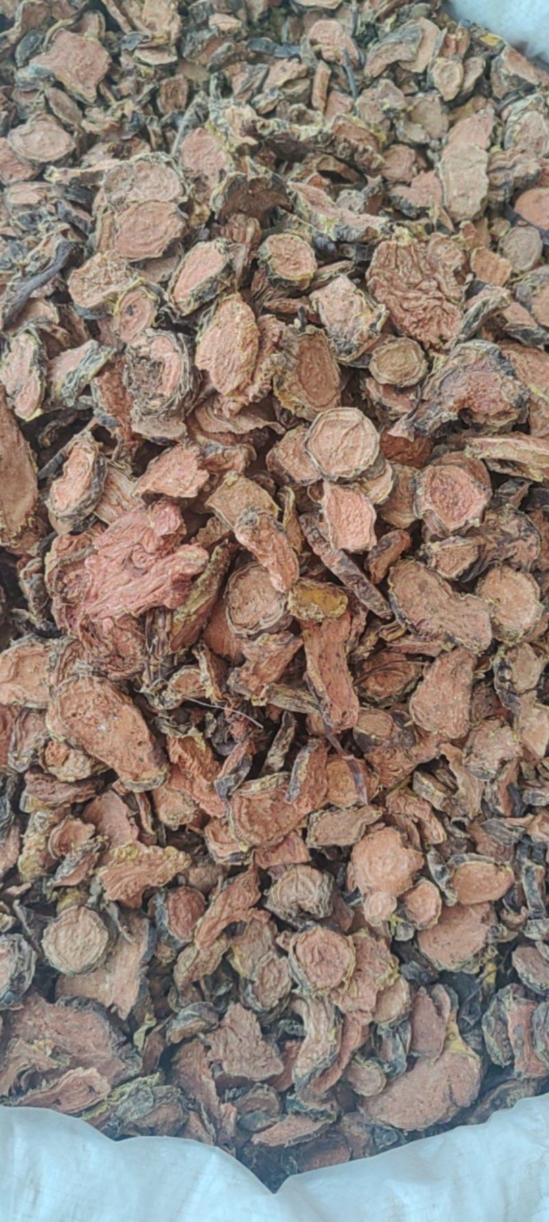 红景天批发价格