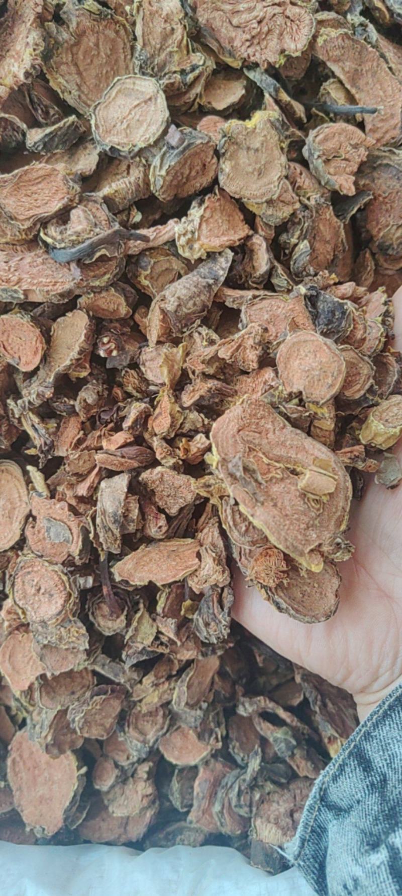 红景天批发价格