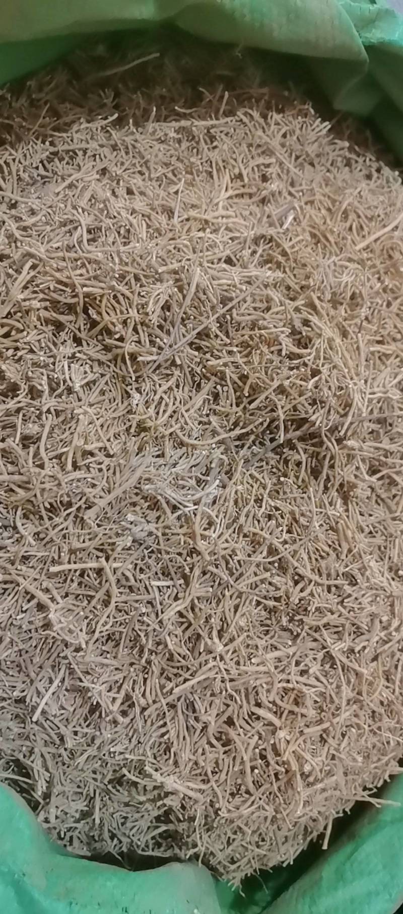 山东菏泽一手货源徐长卿品质好价格优对接全国市场欢迎采购