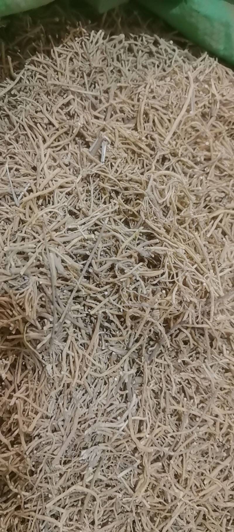 山东菏泽一手货源徐长卿品质好价格优对接全国市场欢迎采购