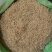 山东菏泽一手货源徐长卿品质好价格优对接全国市场欢迎采购