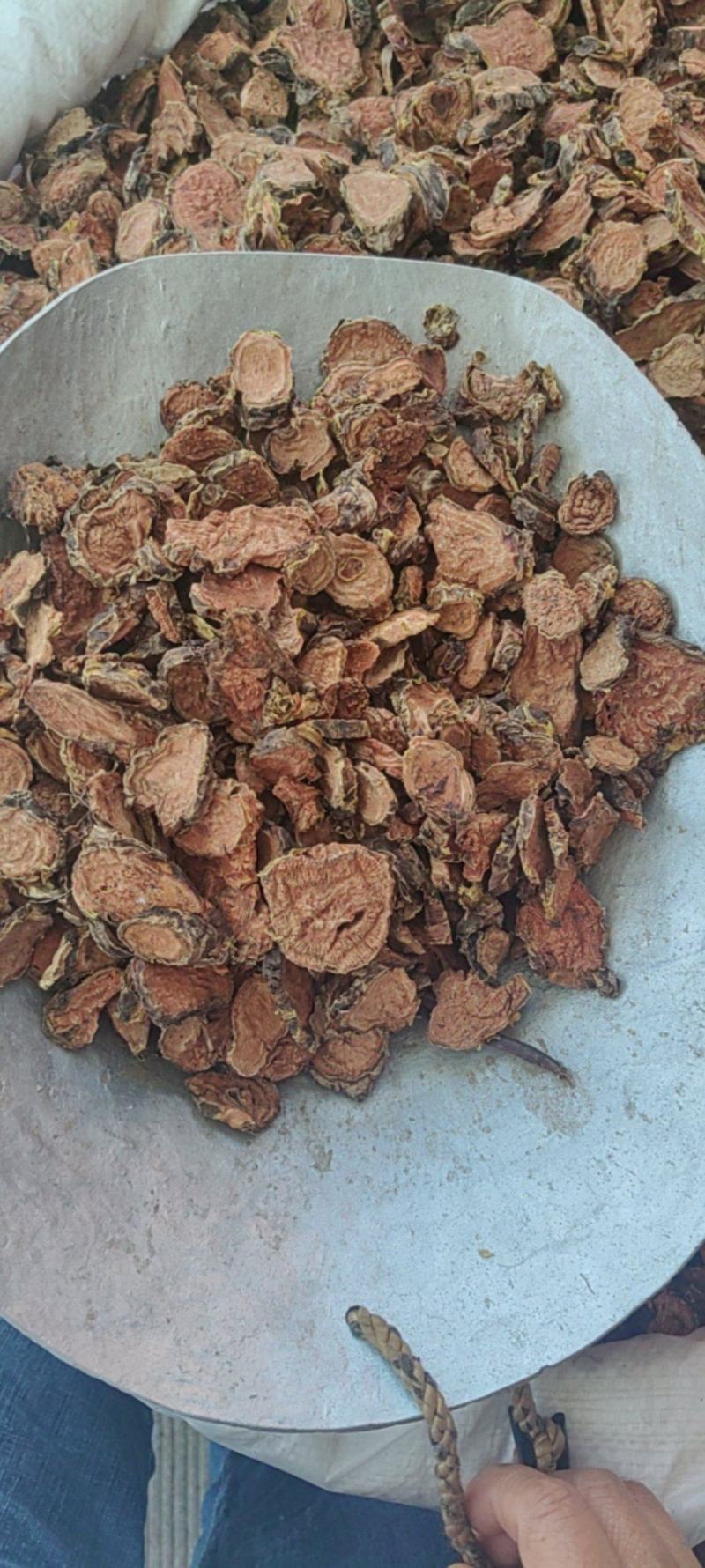 红景天大货批发价格