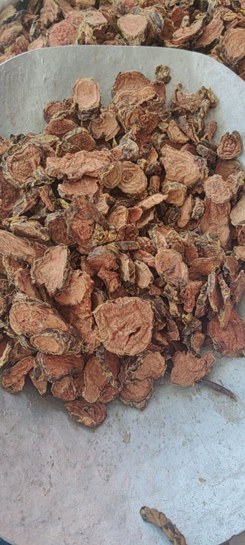 红景天大货批发价格