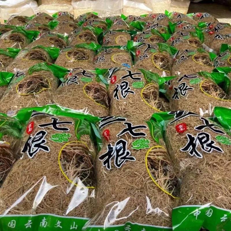 三七根