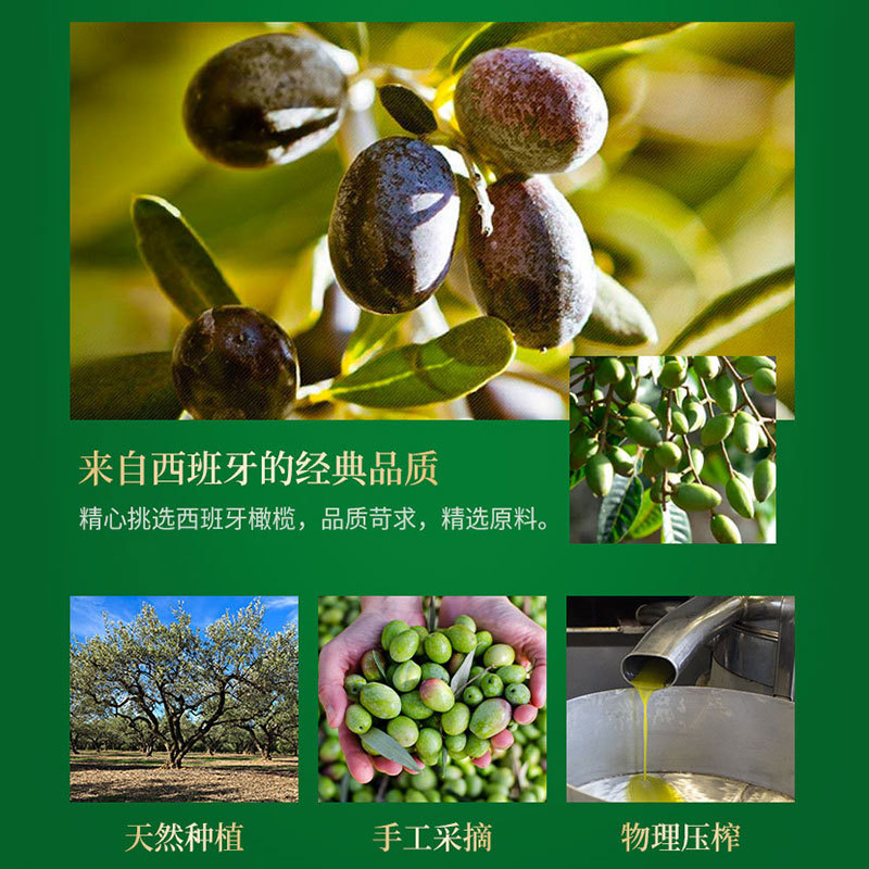 特级初榨橄榄油量大价可谈可oem代工生产工厂直供