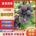葡萄【精品】巨峰葡萄，皮薄汁多，纯甜爽口，千亩葡萄园