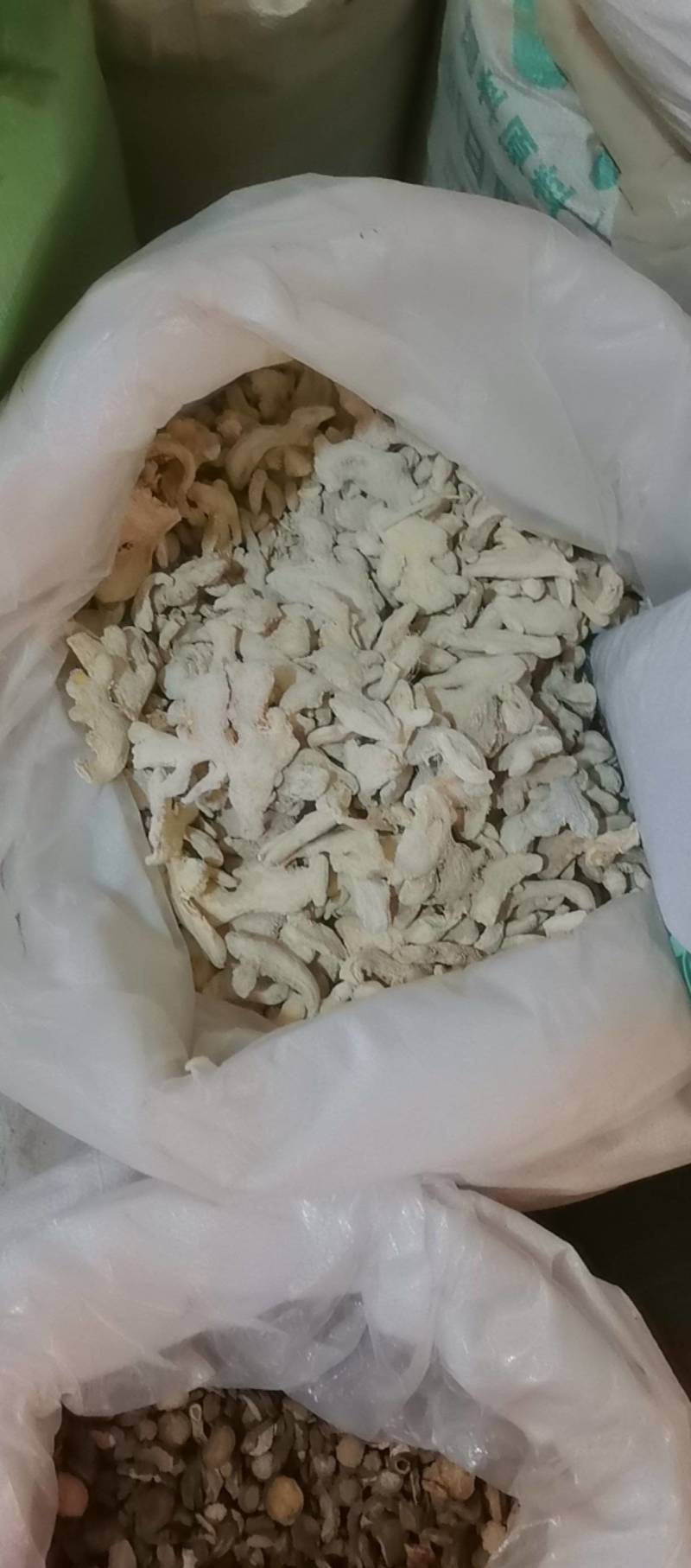 山东菏泽一手货源干姜个品质好价格优对接全国市场欢迎采购