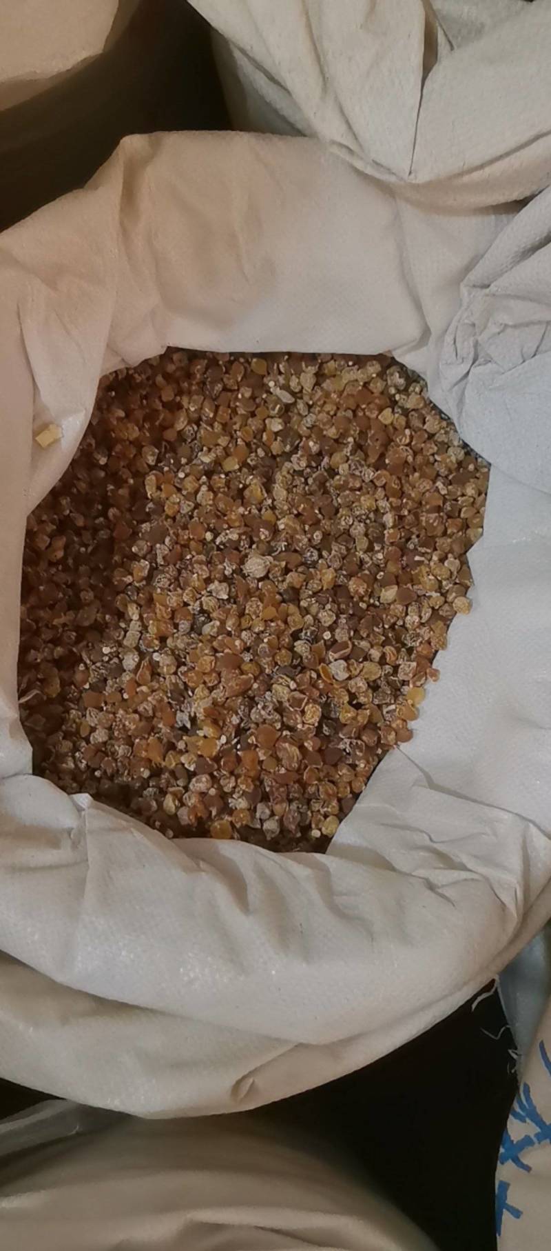 山东菏泽一手货源薤白品质好价格优对接全国市场欢迎采购
