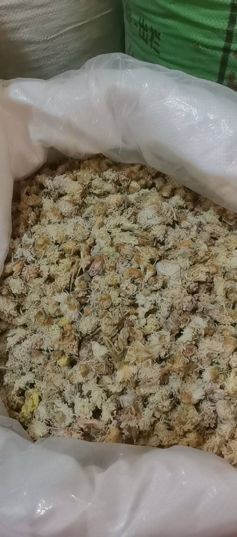 山东菏泽一手货源菊花品质好价格优对接全国市场欢迎采购