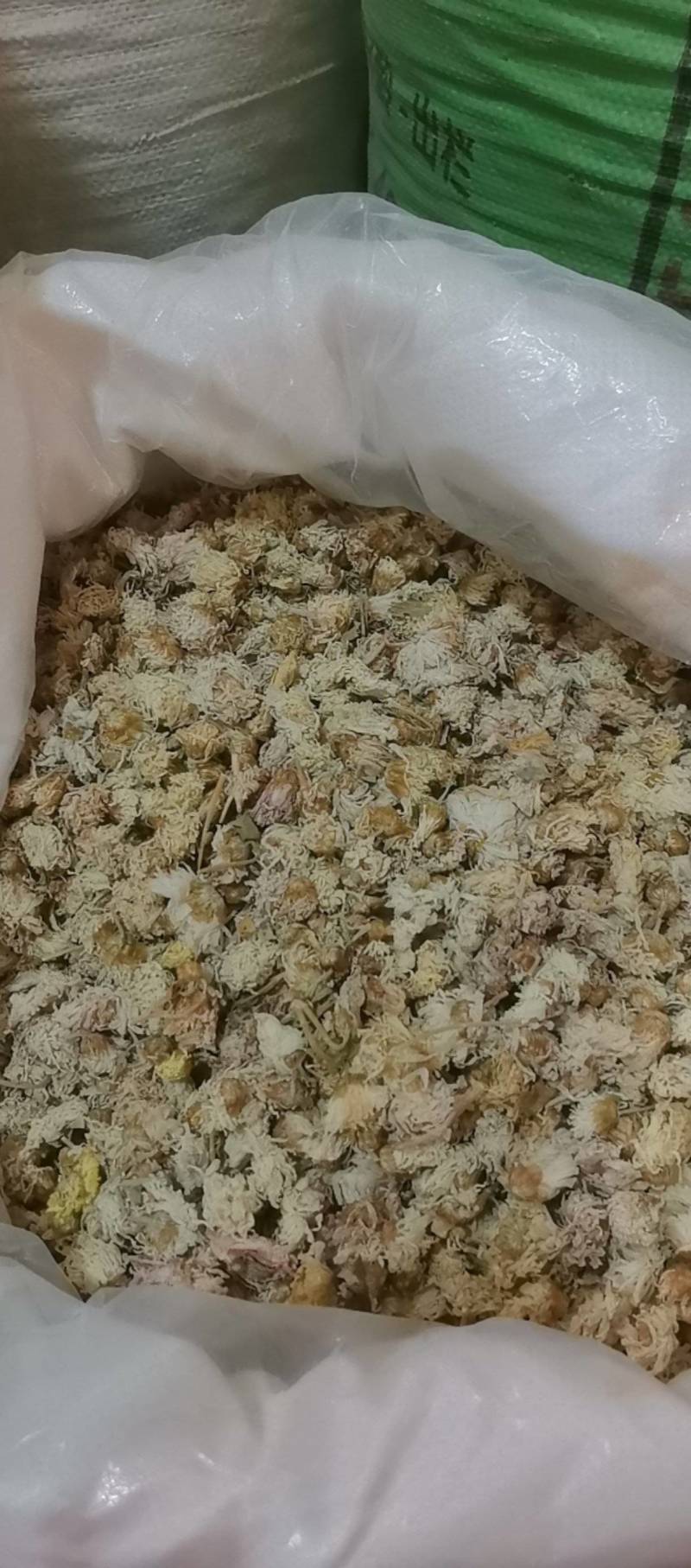 山东菏泽一手货源菊花品质好价格优对接全国市场欢迎采购