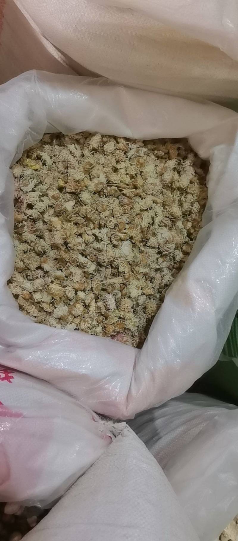 山东菏泽一手货源菊花品质好价格优对接全国市场欢迎采购