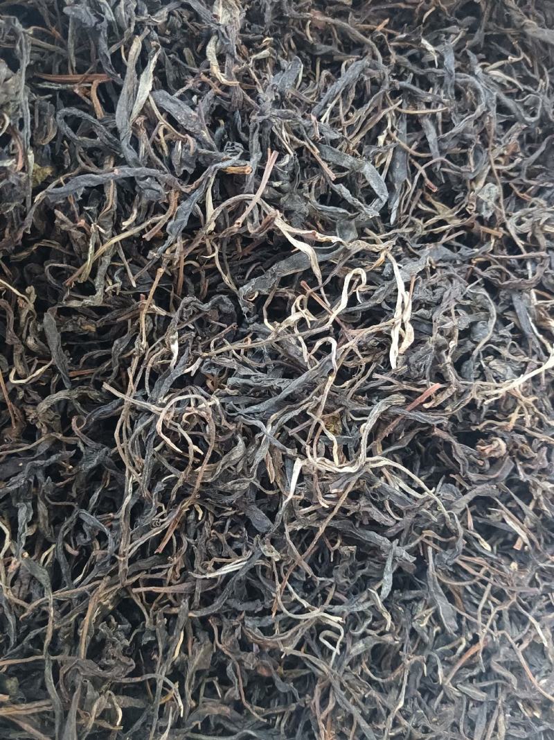 云南绿春骑马坝绿茶